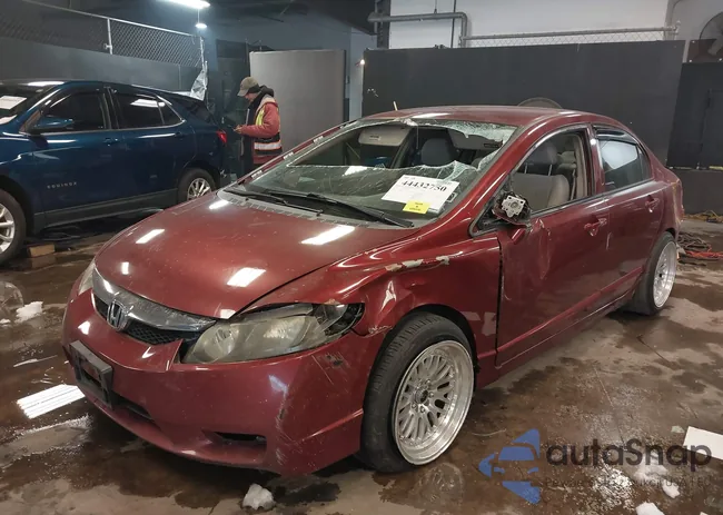 19XFA16509E008085: 44432750