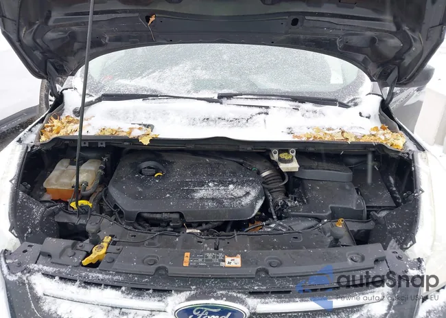 1FMCU0GX6EUC50455: 44434011