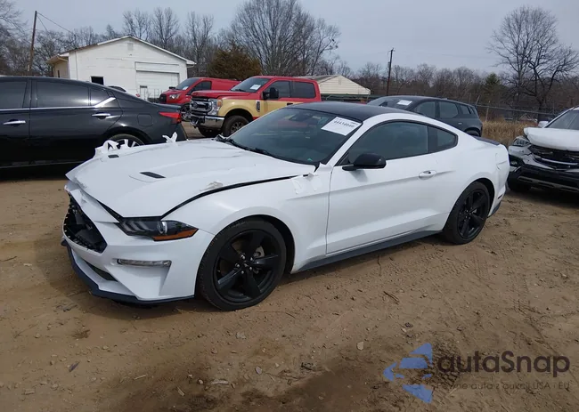 1FA6P8TH6N5149261: 44434040