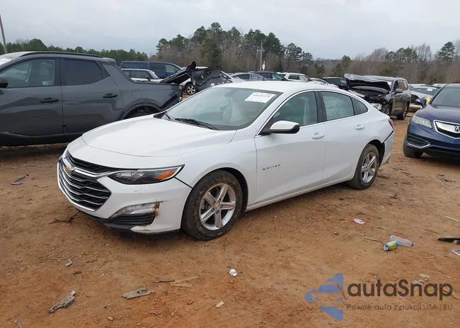 1G1ZD5ST6NF141281: 44433379