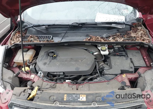 1FMCU0GX0EUD63589: 44433730