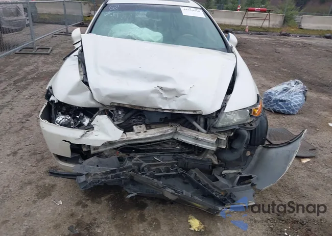 19UUA66295A055558: 44434410