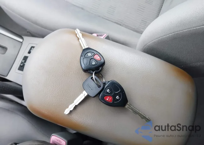 JTMZF33V995003297: 44434424