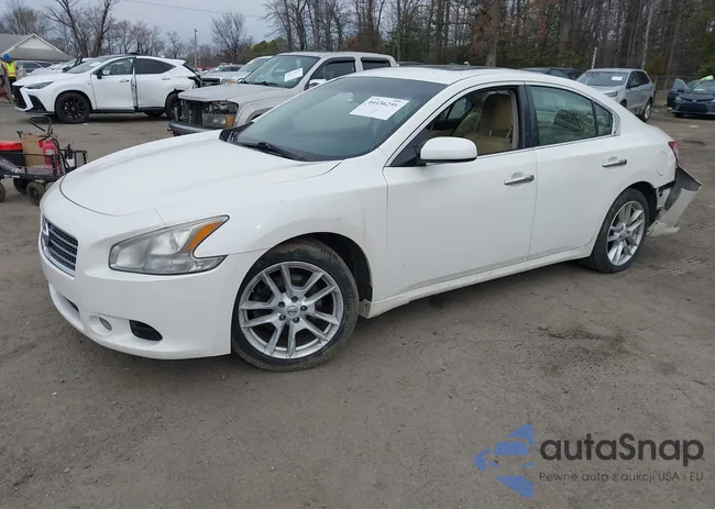 1N4AA5AP7AC819698: 44436259