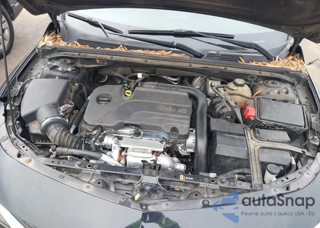 1G1ZB5ST8NF205018: 44437199