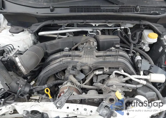 JF2SKARC5MH565049: 44436601