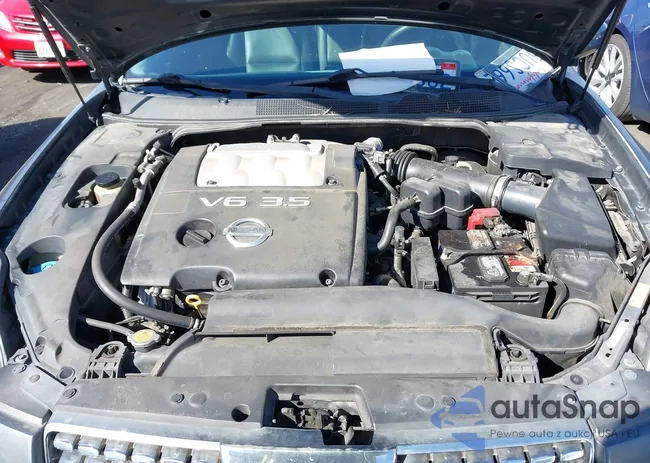 1N4BA41E06C848268: 44438351