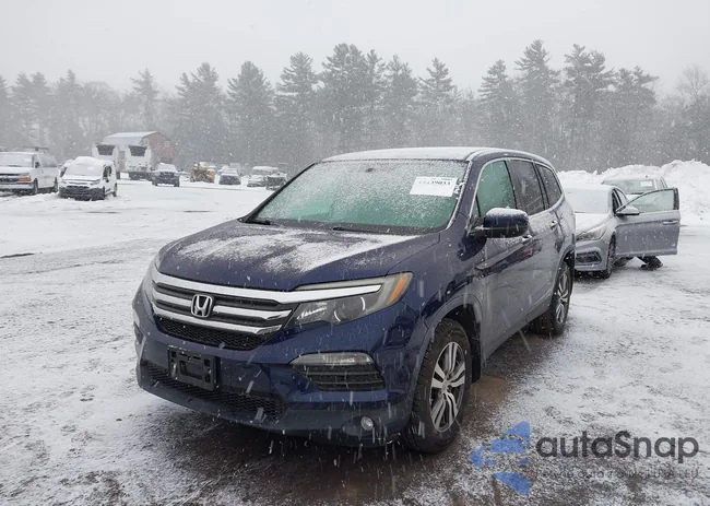 5FNYF6H52JB071935: 44439033