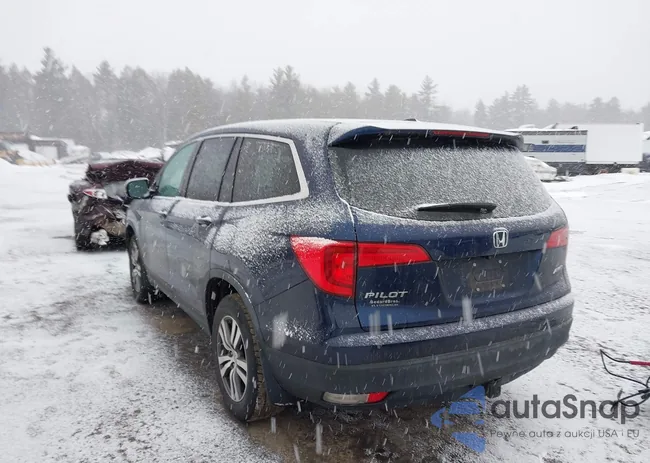 5FNYF6H52JB071935: 44439033