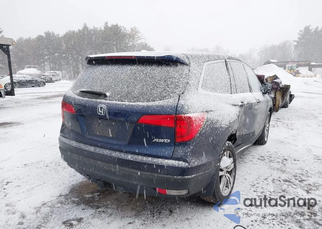 5FNYF6H52JB071935: 44439033