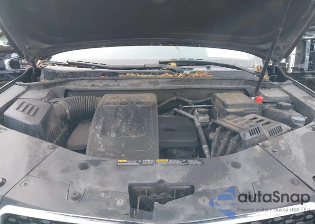 2GNALDEC7B1237265: 44438634