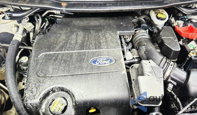 1FMHK8F81BGA82092: 44439825