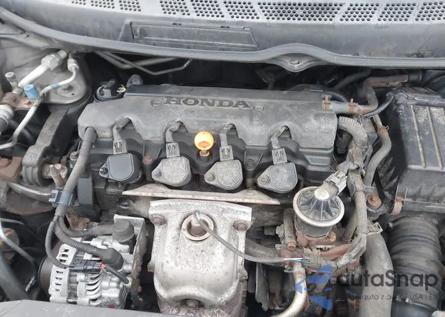 2HGFG12876H534892: 44439469