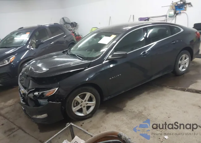 1G1ZD5ST7PF228738: 44439561