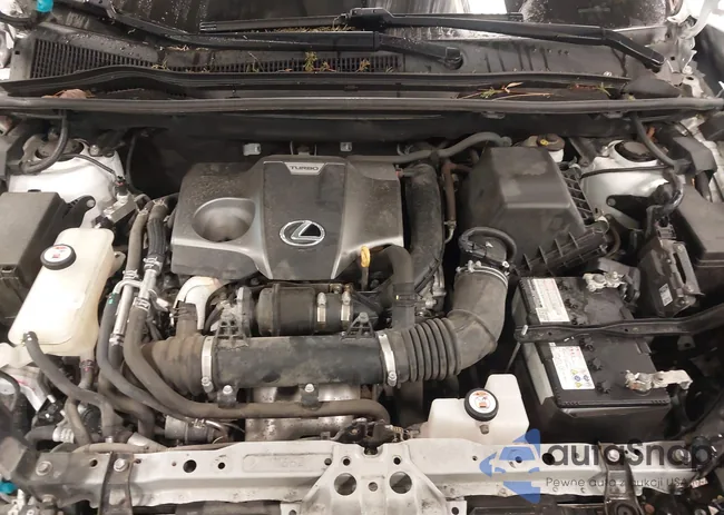 JTJBARBZ1H2113975: 44441218