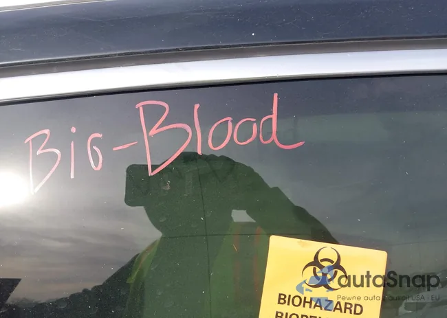 WBXHU7C32H5H34066: 44440637