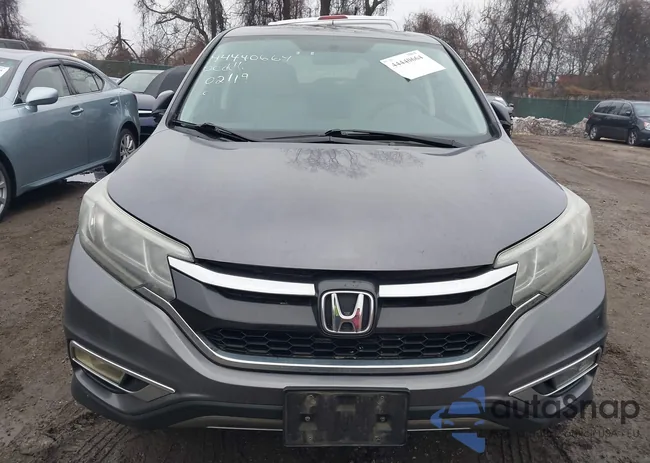 5J6RM4H51GL141309: 44440664