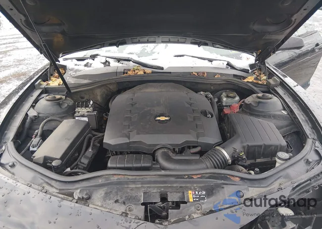 2G1FB1ED0B9136619: 44441777