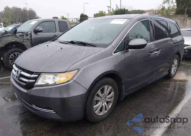 5FNRL5H60FB100260: 44441466