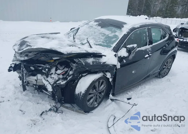 JTHU9JBH4K2018281: 44443344