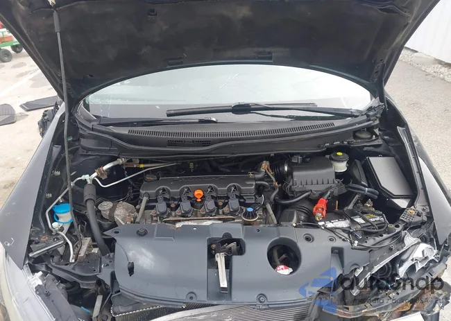 19XFB2F95FE027880: 44443760