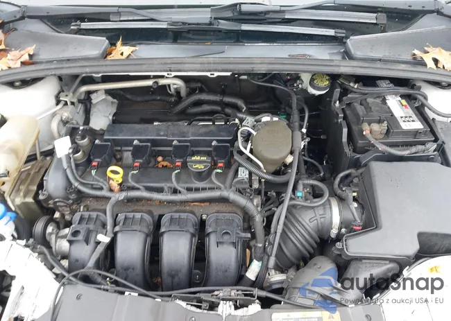 1FADP3F29DL231111: 44444048