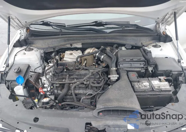 5XXGV4L2XGG065774: 44444255