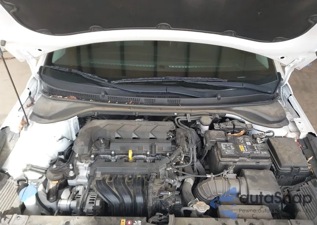 3KPC24A62NE183353: 44444340