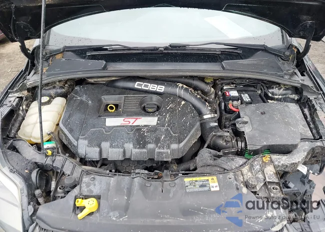 1FADP3L94DL209387: 44443711