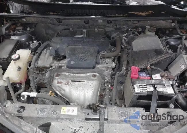 JTMJFREV4HD218460: 44444791