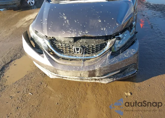 19XFB2F5XFE250090: 44444801