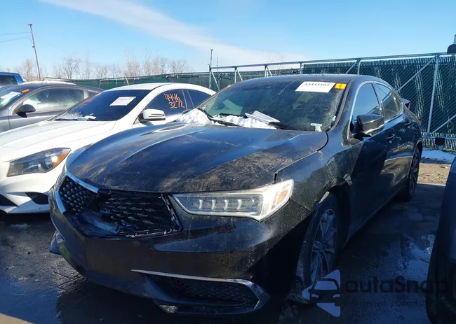 19UUB1F31KA004981: 44445105