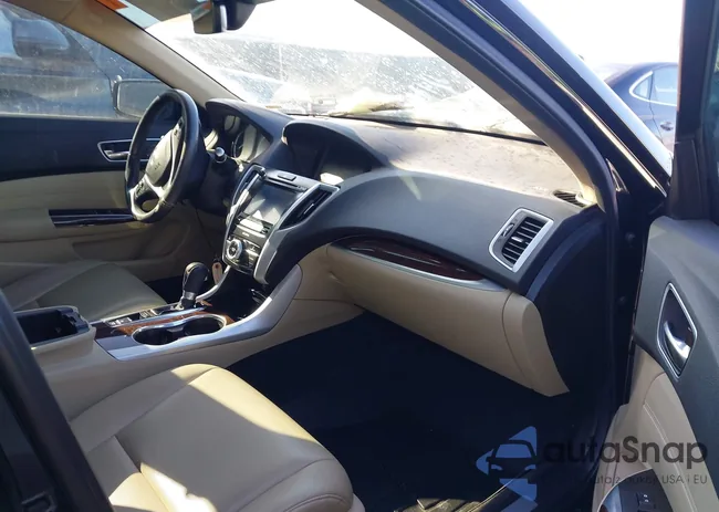 19UUB1F31KA004981: 44445105