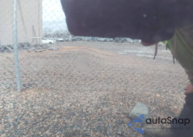 1N4AA5AP6EC454159: 44446077