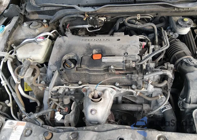 2HGFC2F53JH588667: 44446176