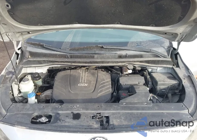 KNDMB5C19F6025448: 44445518