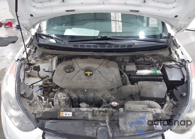 5NPDH4AE0DH440577: 44446853