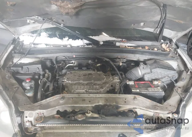 5FNRL38707B005874: 44446653