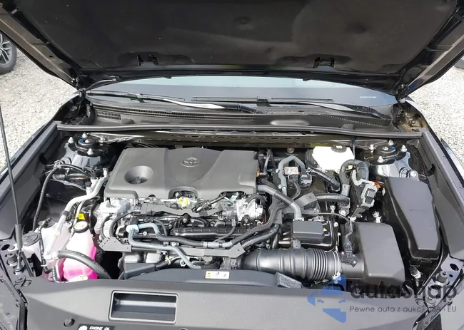 4T1DBADK7TU550091: 44447927