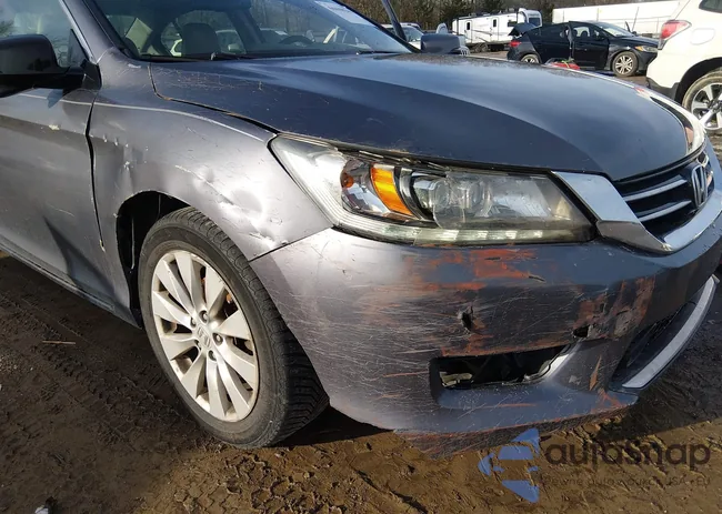 1HGCR3F94DA001101: 44448243