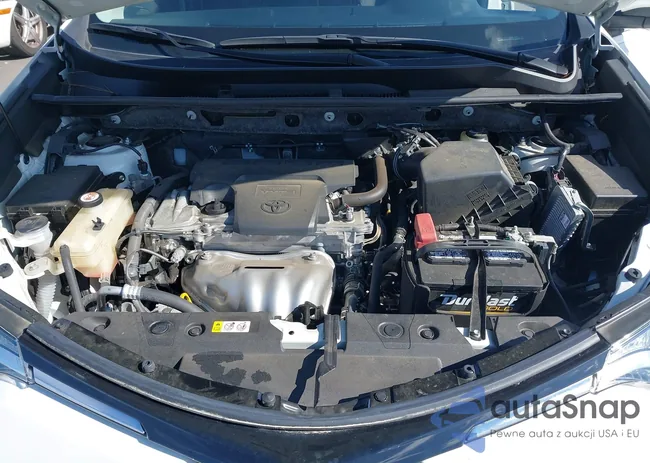 JTMWFREVXJJ745531: 44447382