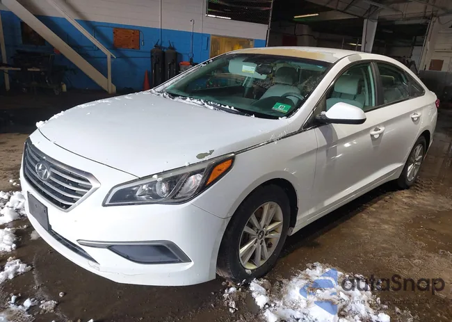 5NPE24AF4GH334510: 44448819