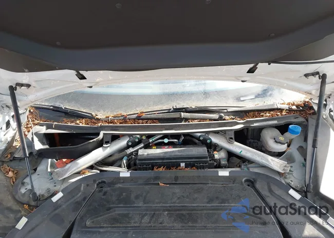 5YJSA1E49GF126764: 44448888