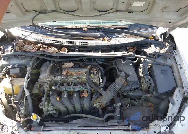 2T1BU4EE3AC356541: 44449091