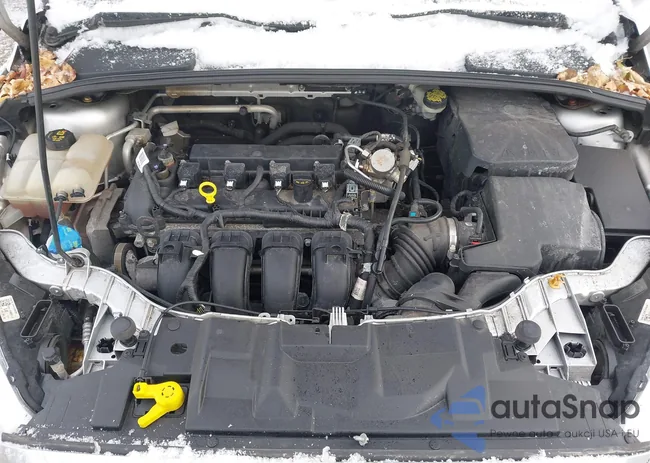 1FADP3F23GL377797: 44449455