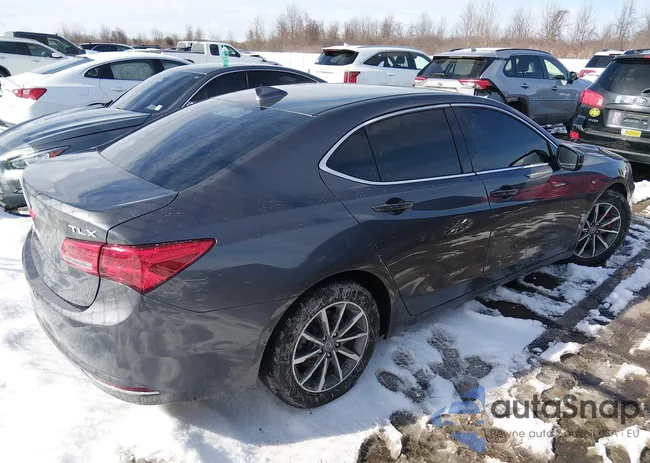 19UUB1F58KA000539: 44451026