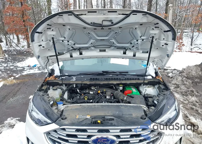 2FMPK3K95LBA85566: 44450376