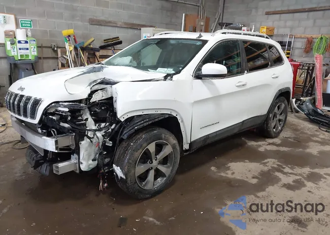 1C4PJMDX8KD436309: 44450390