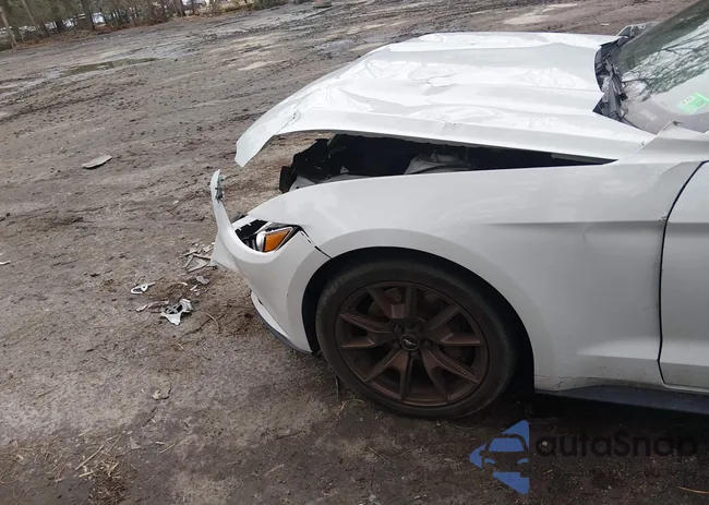 1FA6P8TH1F5358764: 44450422