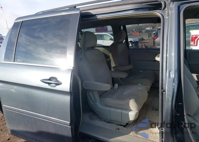 5FNRL38445B423129: 44450443